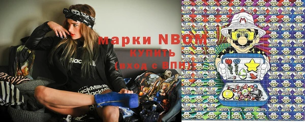 шишки Алзамай