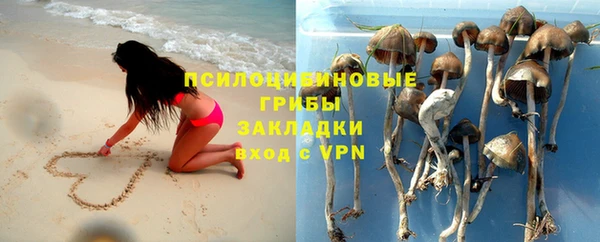 стафф Алексин