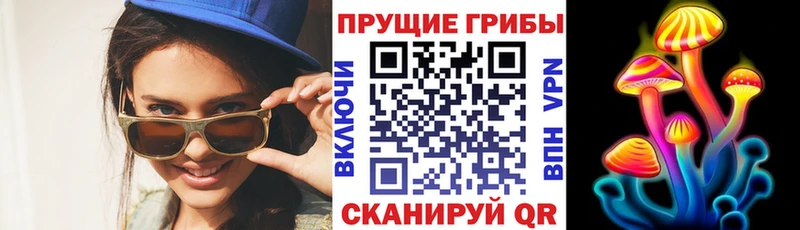 Галлюциногенные грибы прущие грибы  kraken ТОР  Тула  сколько стоит 