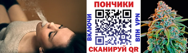 Шишки марихуана Amnesia  omg как войти  Тула 